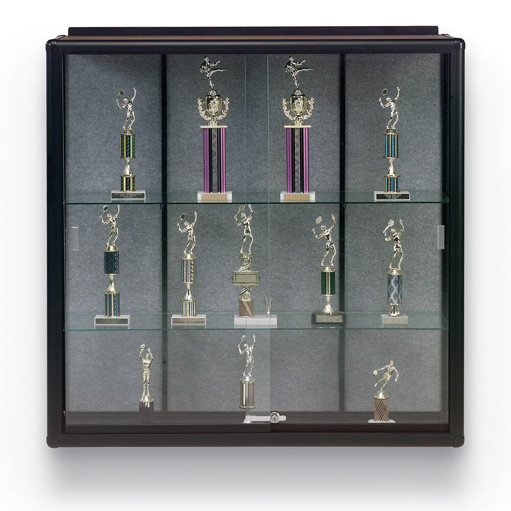 Wall Mount Display Case